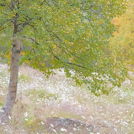 Per Gynt * Vinstra