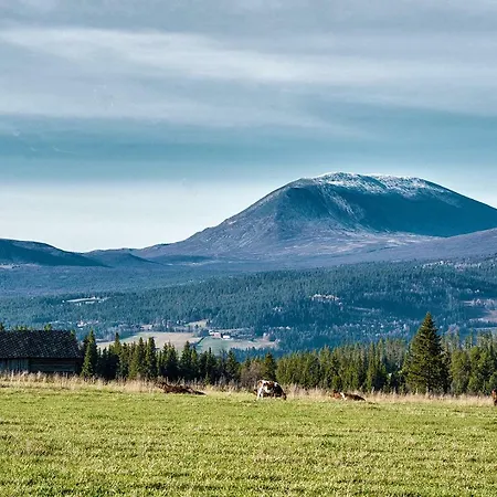 אכסניה Per Gynt *