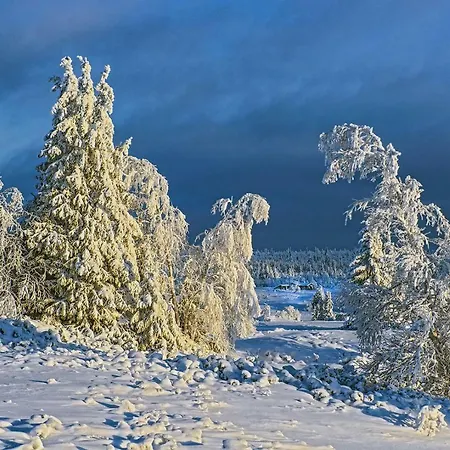 Per Gynt